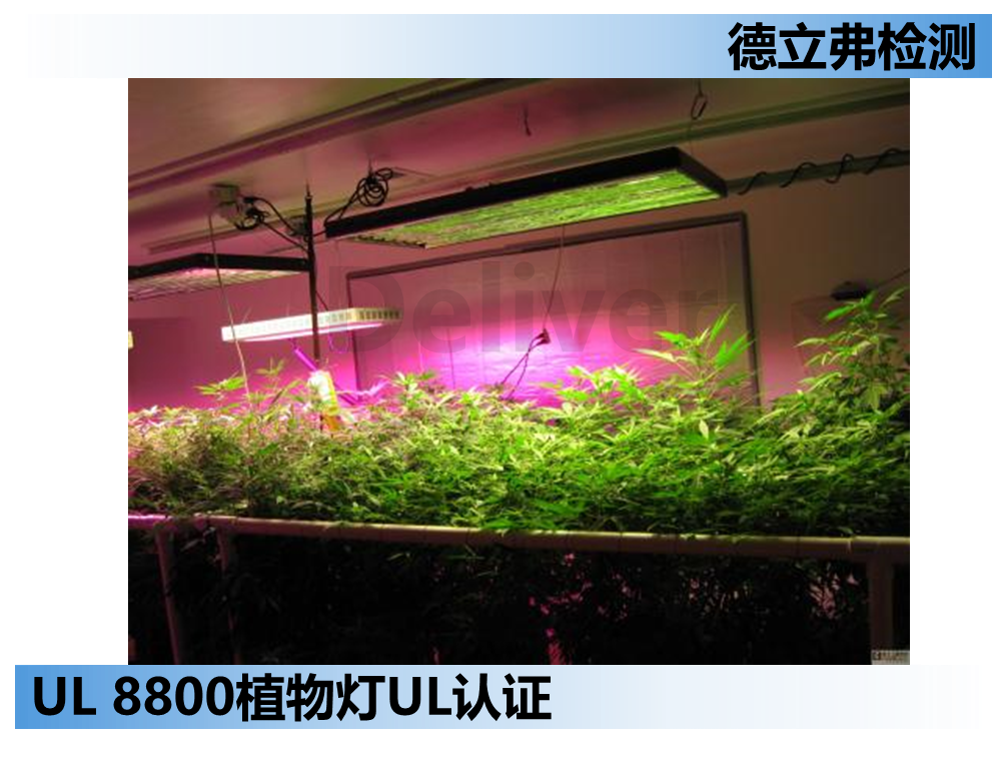 如何判定灯具需要做UL 8800植物灯的UL认证