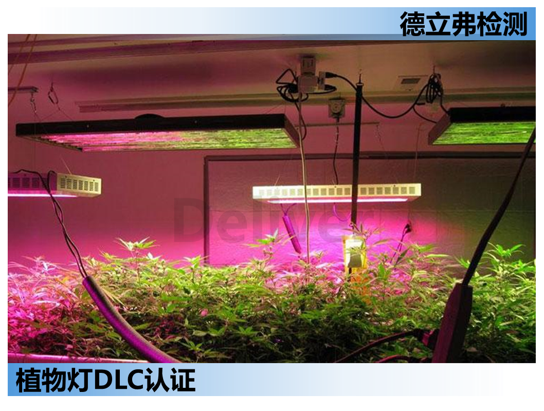 DLC植物照明抽检政策V3.0 发布